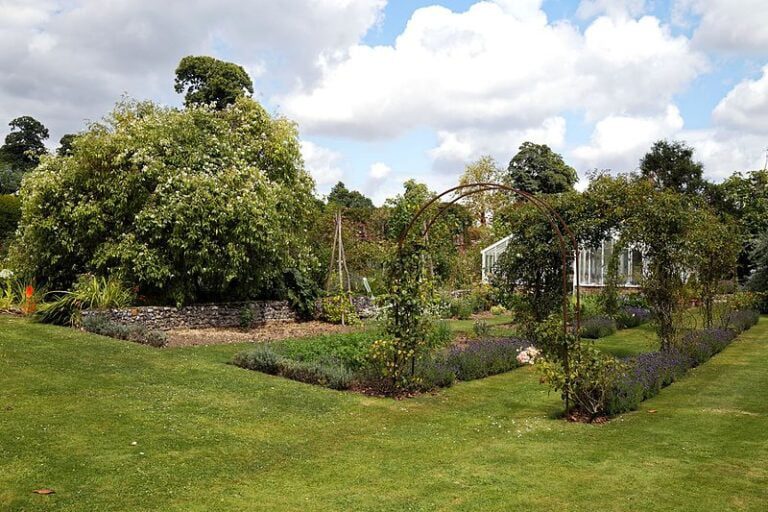 8 Advanced Garden Design Principles