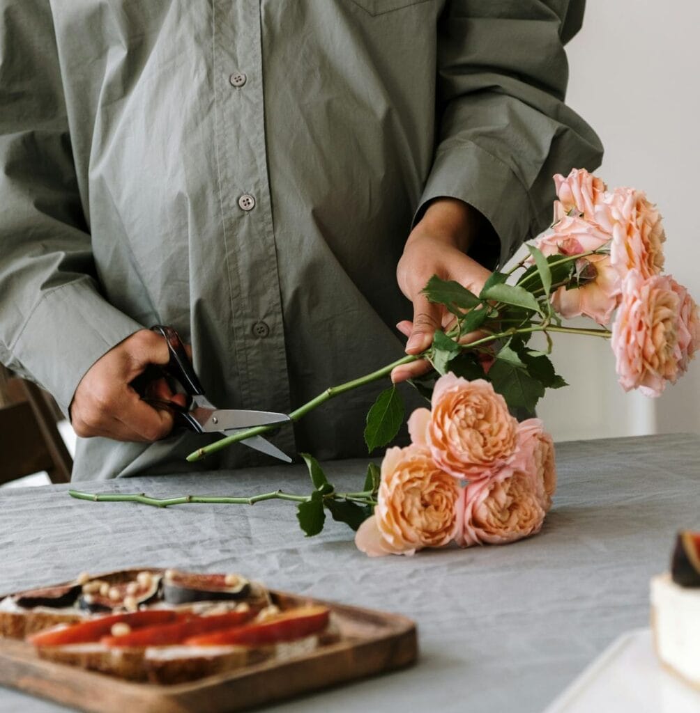 Glossary: Terms used in the world of Roses| Tacoma Rose Society