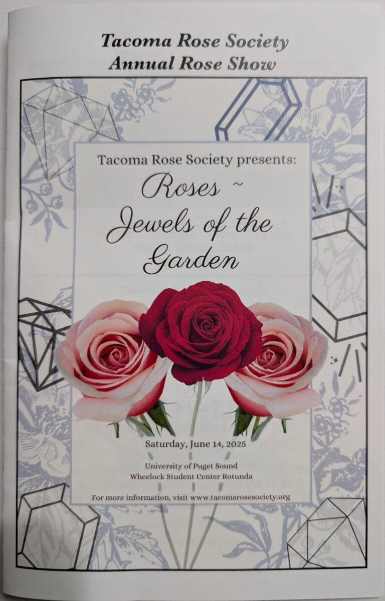 Rose Show 2025 Memories