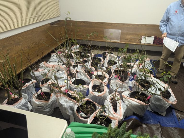 Queen’s Herald November 2025